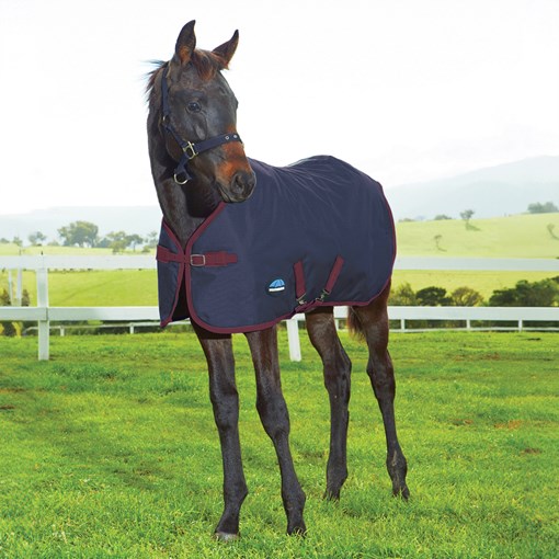 WeatherBeeta 1200D Foal Standard Neck Medium II