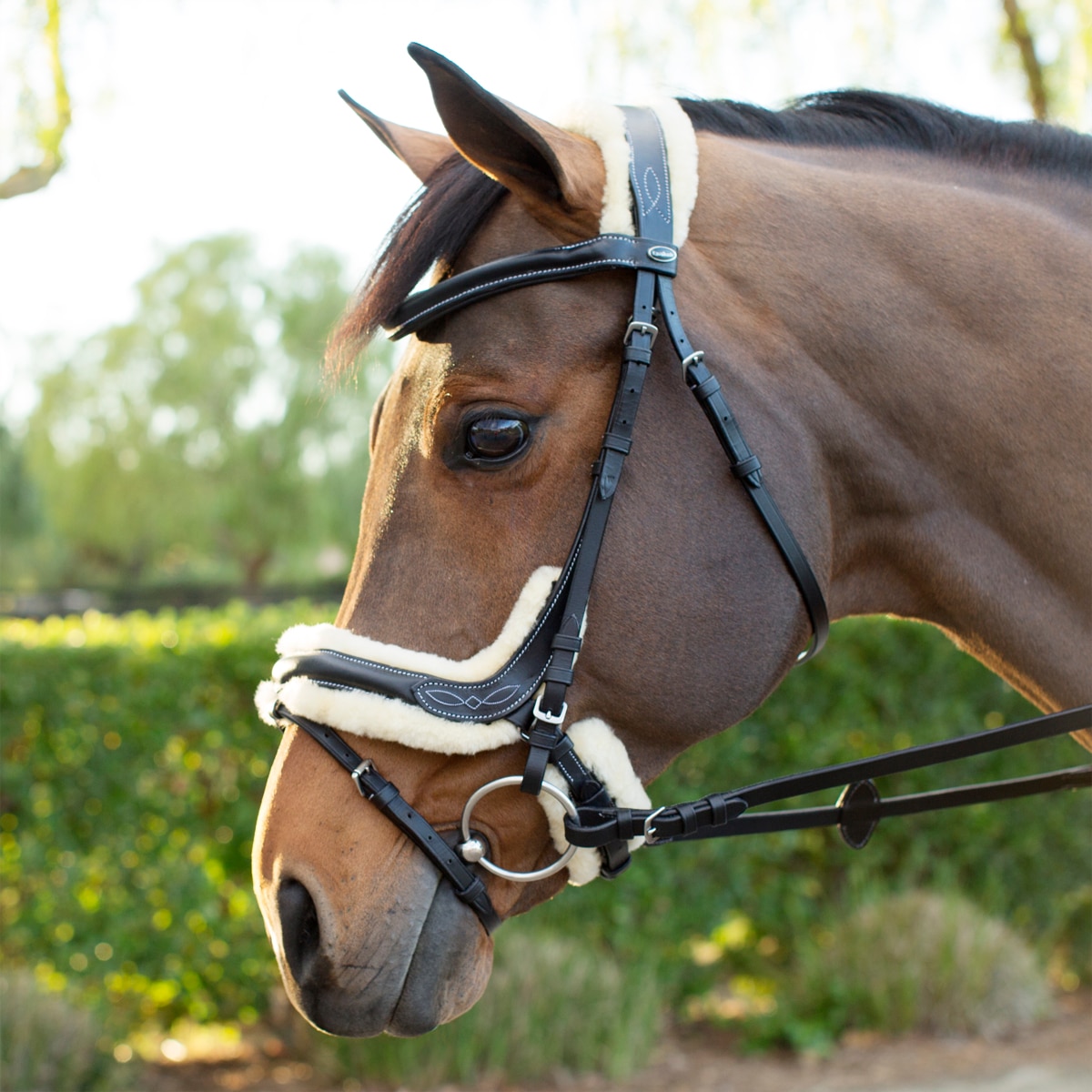 Kavalkade Ivy Anatomical Flash Snaffle Bridle with Lambskin Lining Reins 