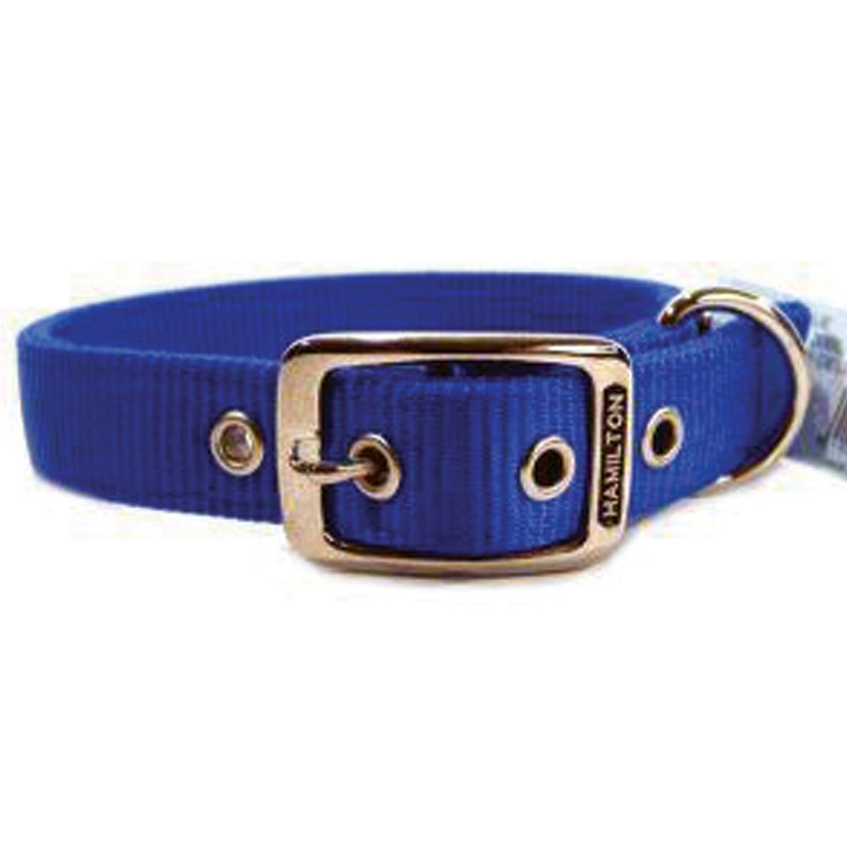 wide nylon dog collars