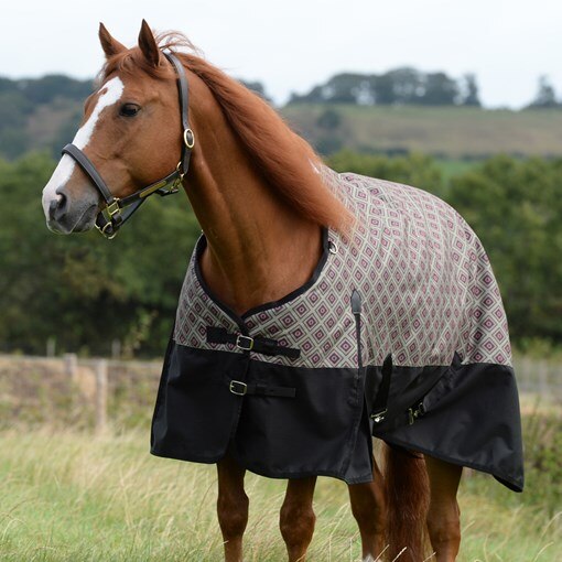 WeatherBeeta ComFiTec Essential Turnout Blanket 
