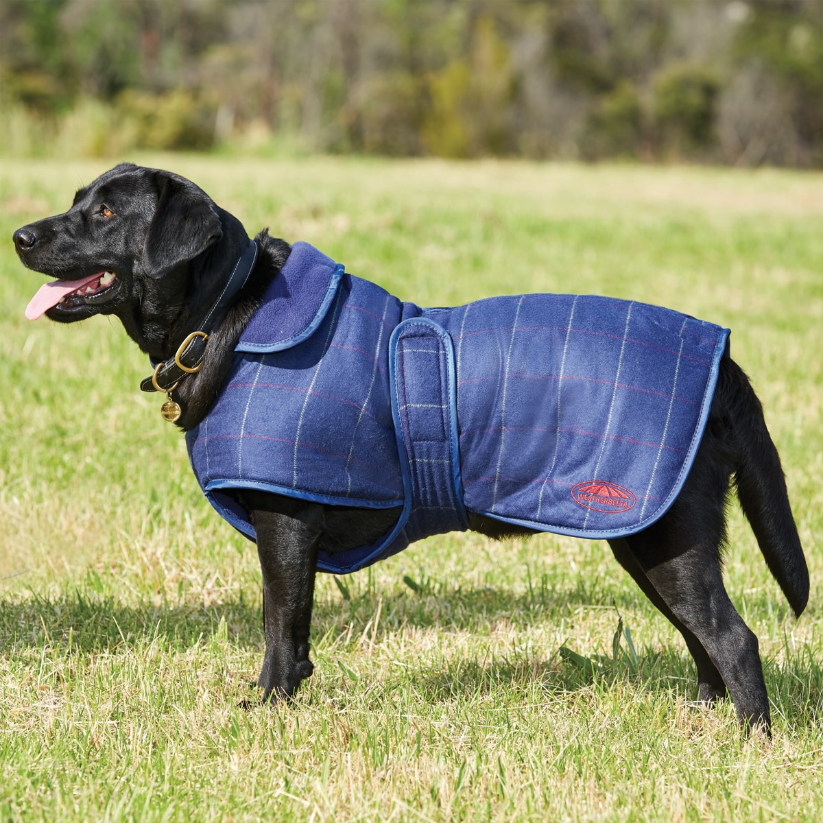 tweed dog coat