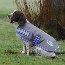 Dog Coats & Apparel - SmartPak Equine