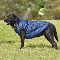 Weatherbeeta Puffer Dog Coat- Clearance!
