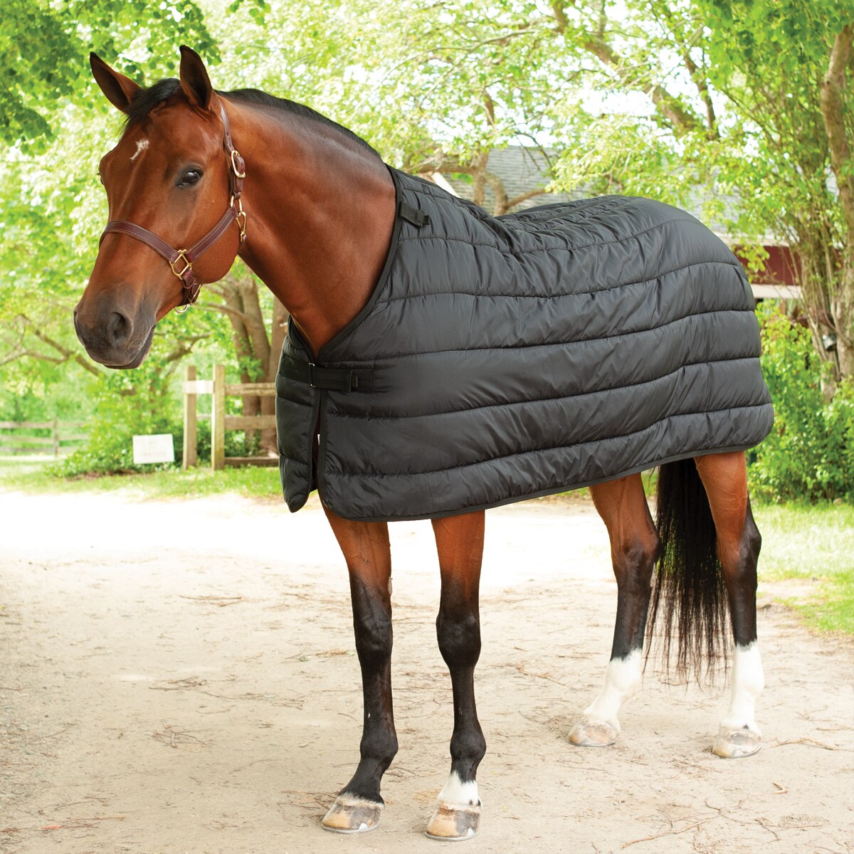 SALE TO CLEAR LIMITED EDITION TURNOUT RUG 1200D 300G HEAVY WEIGHT COMBO NECK 