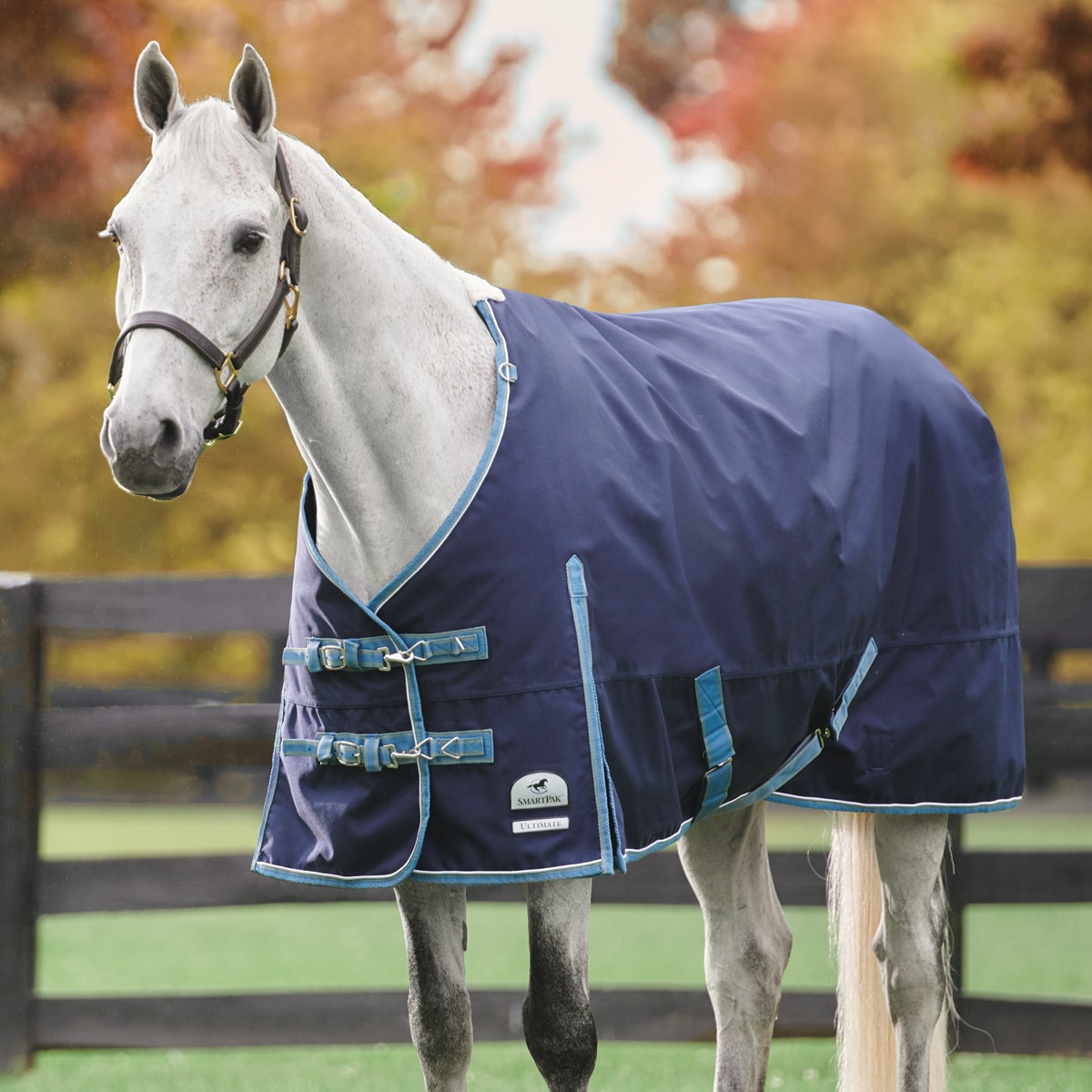 Shires Replacement Blanket Surcingle Strap 