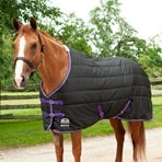 Big D All American Stable Blankets – Ranch By Design