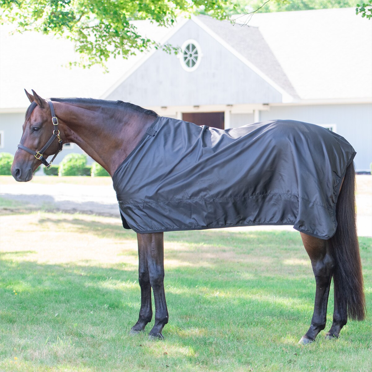 UK 46 / EU 90cm / 54 Raspberry Best On Horse Manta pesada impermeable y transpirable de invierno para caballos equitación ponis 