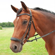 Harwich® Bling Drop Noseband Bridle