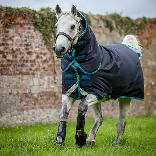 Amigo Bravo 12 Plus - Pony 