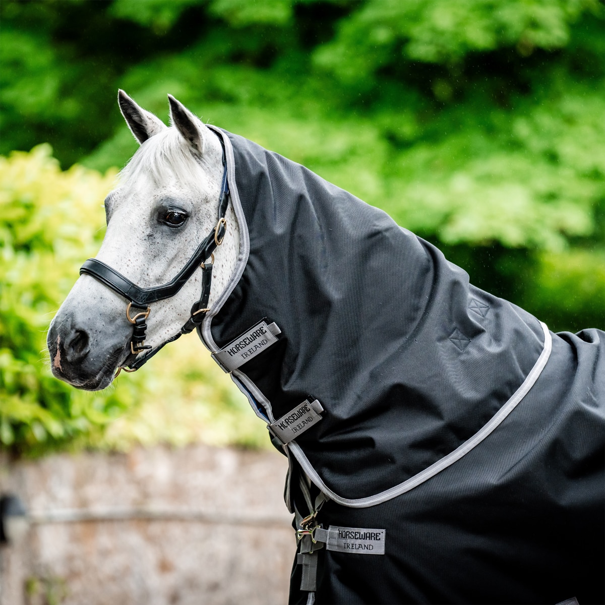 Couverture Amigo AmEco Bravo 12 Plus Turnout 250g Horseware