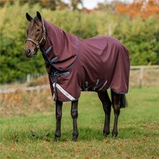 Amigo&reg; 1200D Plus Turnout Blanket