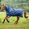 Amigo&reg; 1200D Plus Turnout Blanket - 