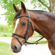 Plymouth&reg; Bling Dressage Bridle by SmartPak