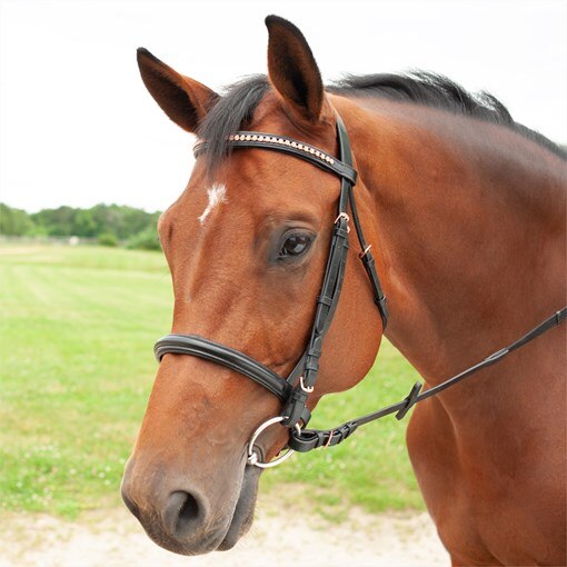 Plymouth® Rose Gold Dressage Bridle by SmartPak