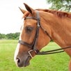 Plymouth&reg; Hunt Bridle by SmartPak - Chocolate