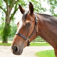 Plymouth&reg; Leather Halter by SmartPak