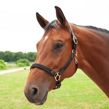 SmartPak Padded Cotton and Leather Halter - Clearance!