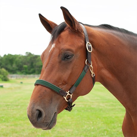 SmartPak Padded Cotton and Leather Halter