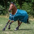 Bucas Atlantic Turnout Blanket