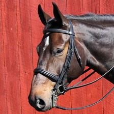 Vespucci Double Raised Weymouth Bridle