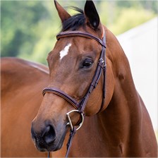 Vespucci Fancy Raised Hunter Bridle