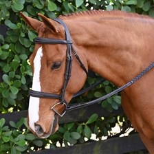 Ovation® ATS Square Raised Taper Nose Fancy Stitch Bridle