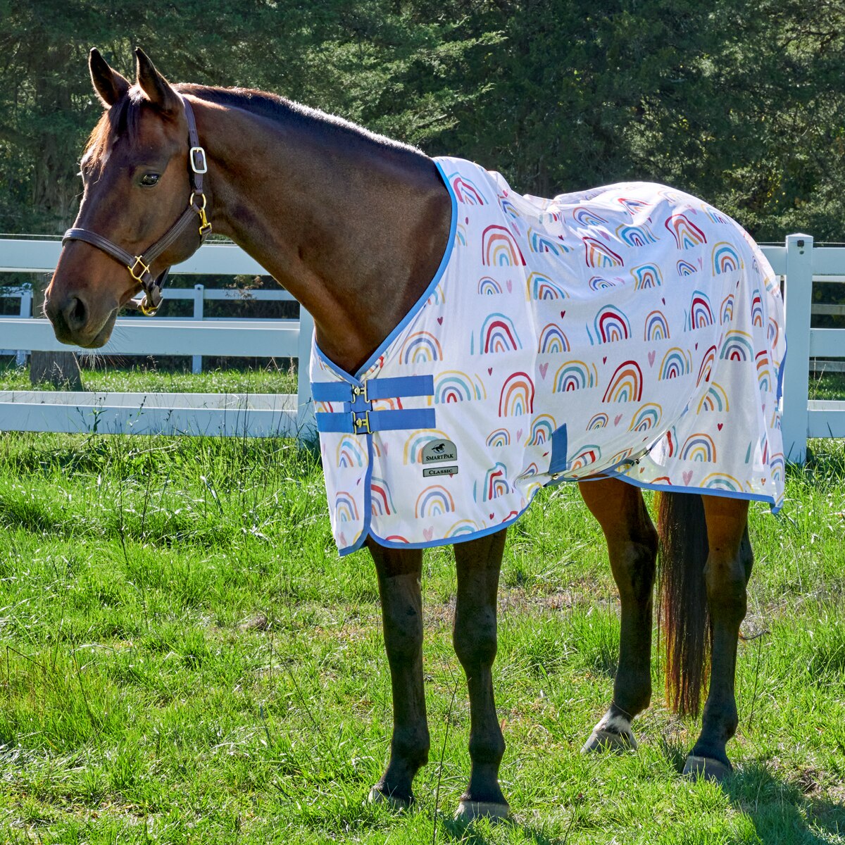 Smartpak Classic Fly Sheet 84 Neuf Argent Chevaux d'été