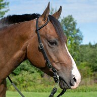 Limited Edition SmartPak Black Single Ear Headstall - Buckle End