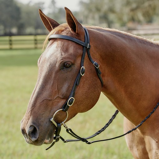 Limited Edition SmartPak Black Browband Headstall 