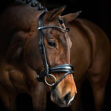 PS of Sweden GP Bridle