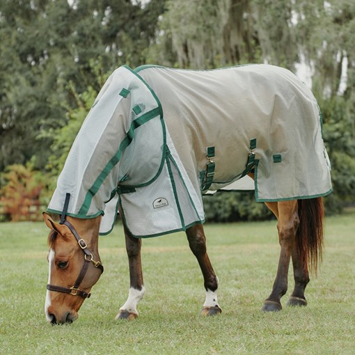 Perfromance Fly Mesh Quarter Sheet