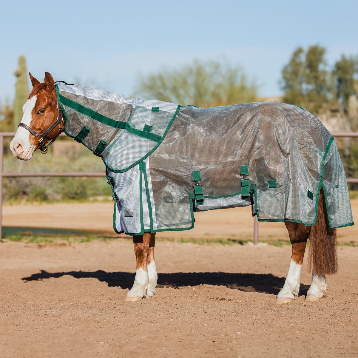 32081_whitehuntercheck_western