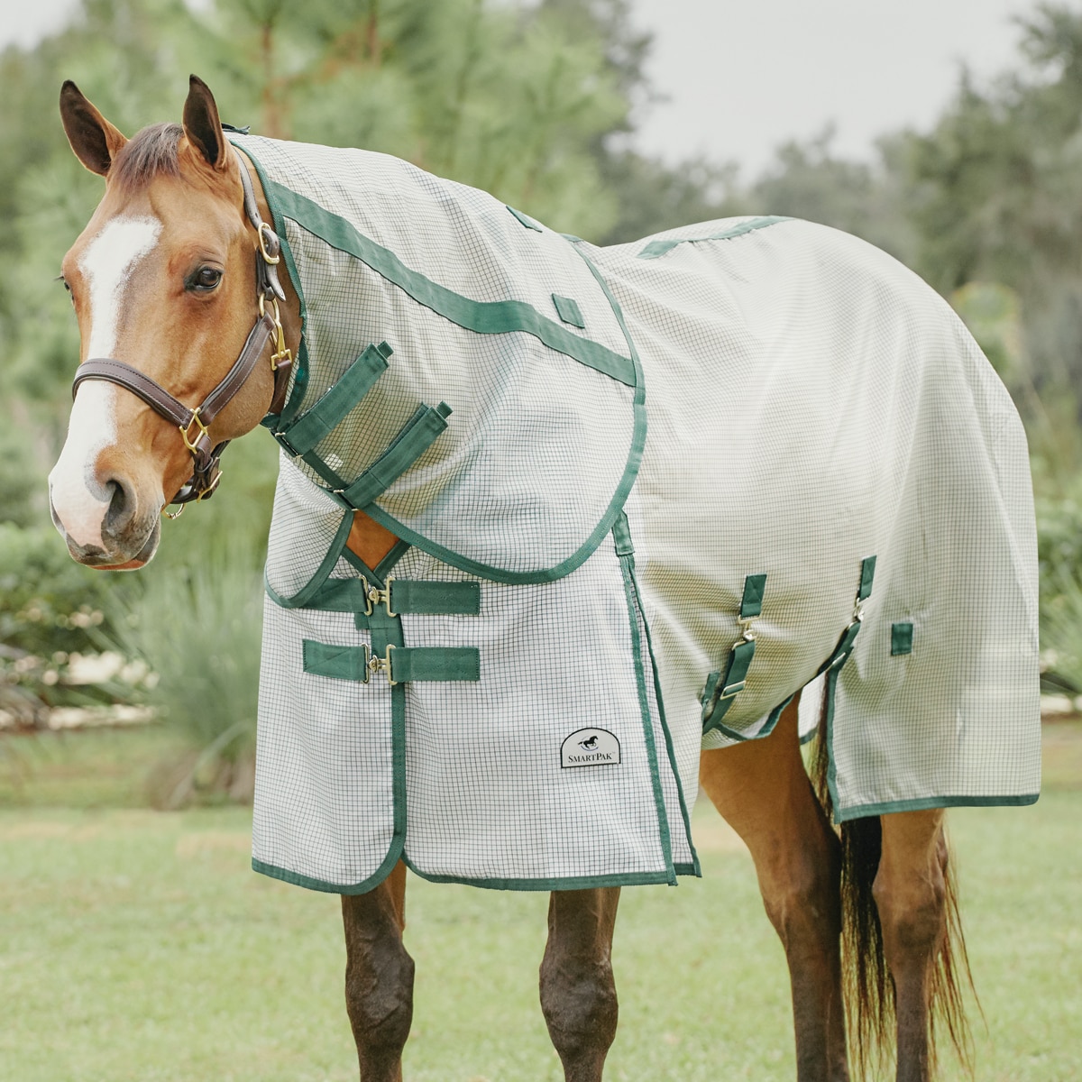 Horse Pony Fly Sheet Summer Rug Outdoor Protection Field Polyester Mesh Net 