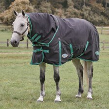 Weatherbeeta Green-Tec Detach-A-Neck Turnout Blanket - Clearance!