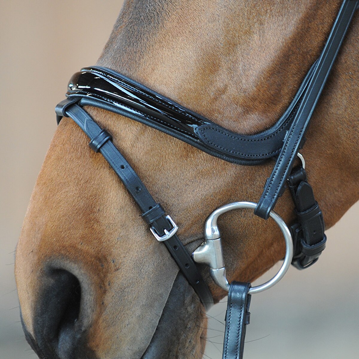 FSS PATENT GLOSS Comfort Padded Raised DROP Dropped Baroque Noseband TWIN Buckle 