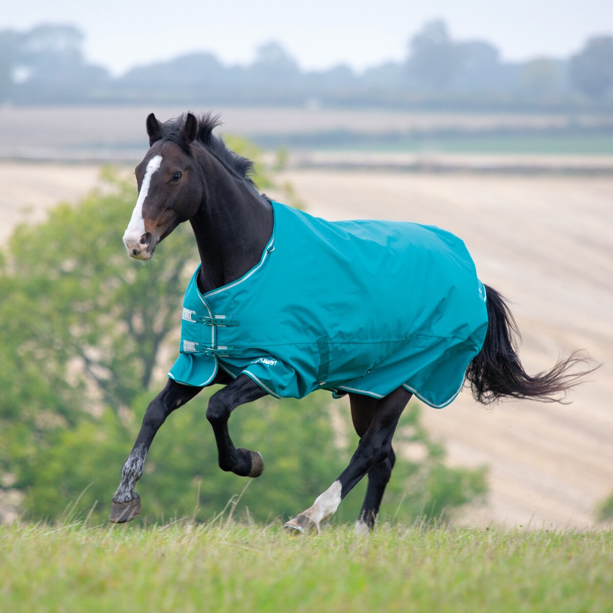 50g Lightweight Turnout Rug Shires Tempest Fixed Neck Combo Horse Rug Blue 