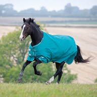 Shires Tempest Plus Turnout Blanket