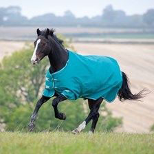 Shires Tempest Plus Turnout Blanket
