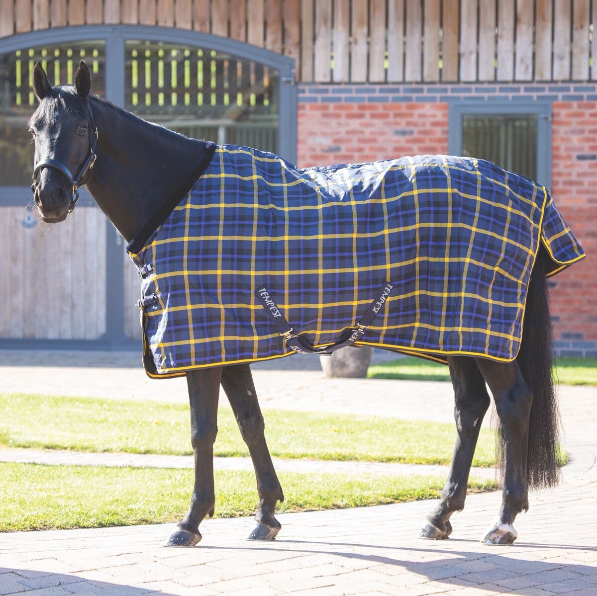SHIRES Tempest 200 Original Horse Tack, Navy Forest, 78-in SHIRES Tempest 200 Original Horse Tack, Navy Forest, 78-in