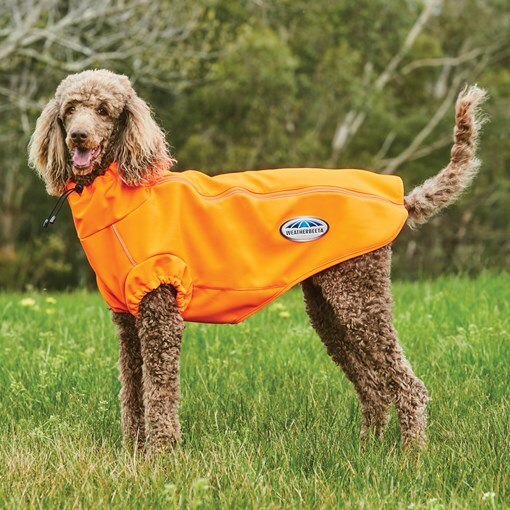 WeatherBeeta ComFiTec Active Dog Coat