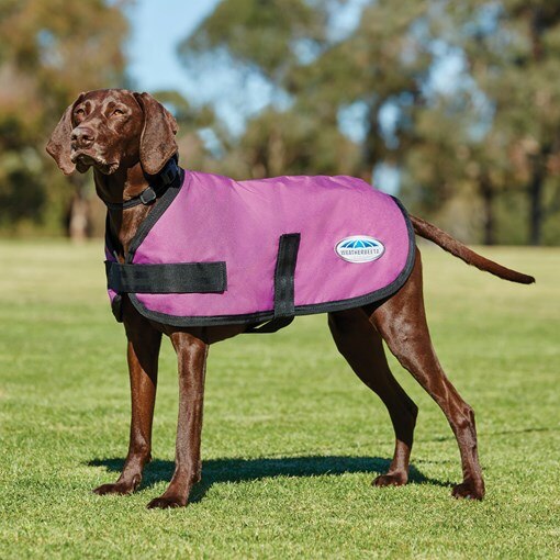 WeatherBeeta ComFiTec Classic Dog Coat