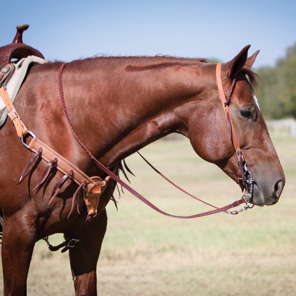 Brand Medium Oil Leather Horse Size Working 1 1/2" Breast Collar JI-BP-7860 D.A 