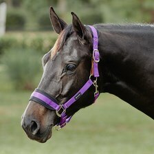 SmartPak Breakaway Halter with COOLMAX® Padding 2.0 - Clearance!