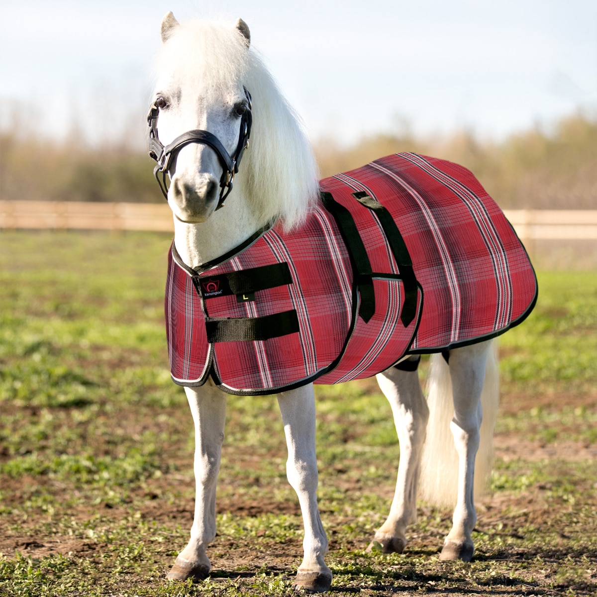 Ruggles Shetland Miniatura Sezione A Maschera Mosca | Protezione Occhi Cavallo & Pony Mini Small & Large | Foderato in Pile (Shetland S-Con Naso