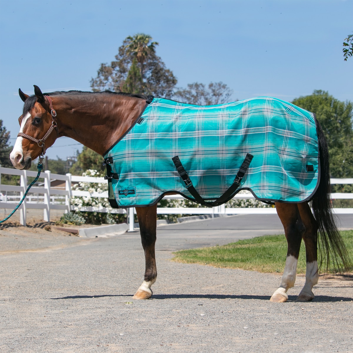 Horses Sheets Kensington Platinum SureFit Protective Fly Sheet For
