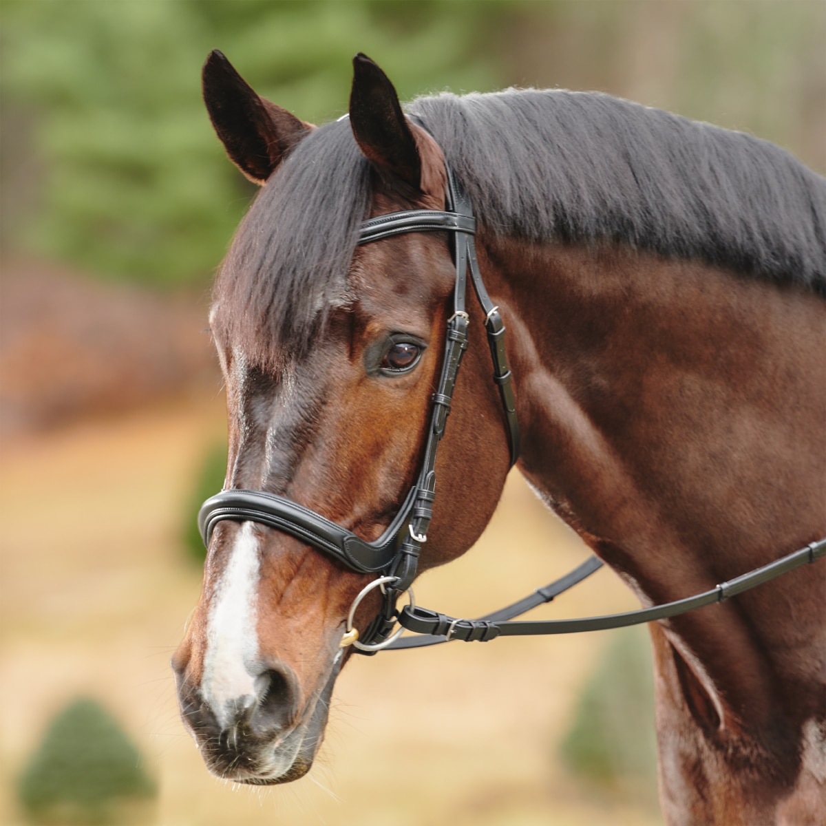 NEW LEATHER PADDED COMFORT BRIDLE WITH RED COLOUR PADDING CONTRAST STITCHING 
