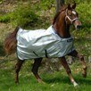 Bucas Power Turnout Sheet - Silver