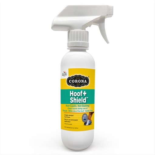 Corona&reg; Thrush+ Shield Spray