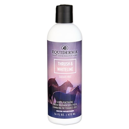 Equiderma Thrush & Whiteline Treatment