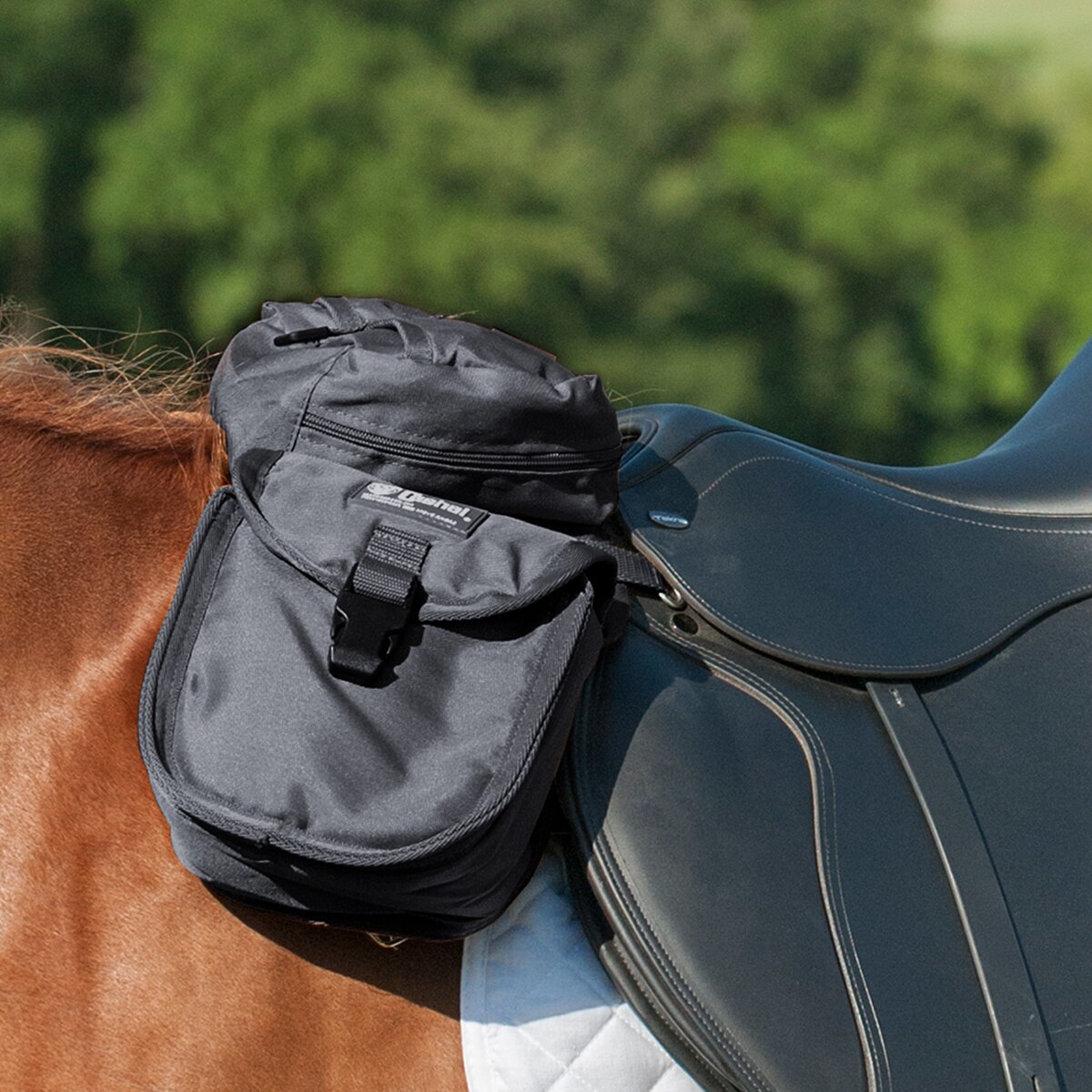 Dura-Tech® Padded English Saddle Cases | Schneiders